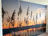 Fotobehang laten behangen Amersfoort