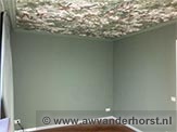 Plafond behangen Nijkerkerveen
